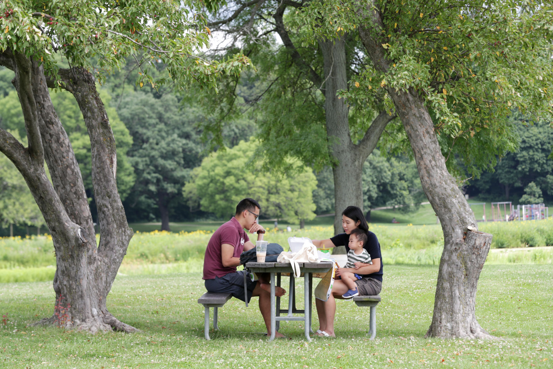 Vilas Park picnic